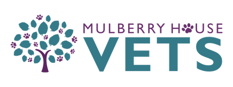 Mulberry House Vets